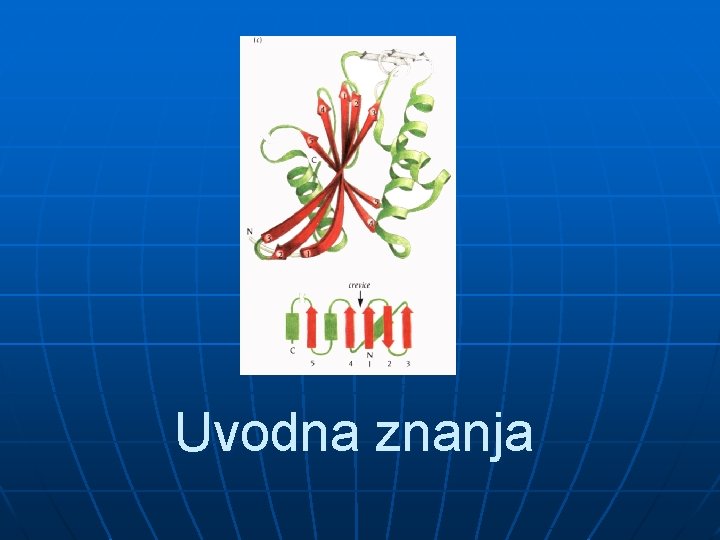 Uvodna znanja Uvodna znanja