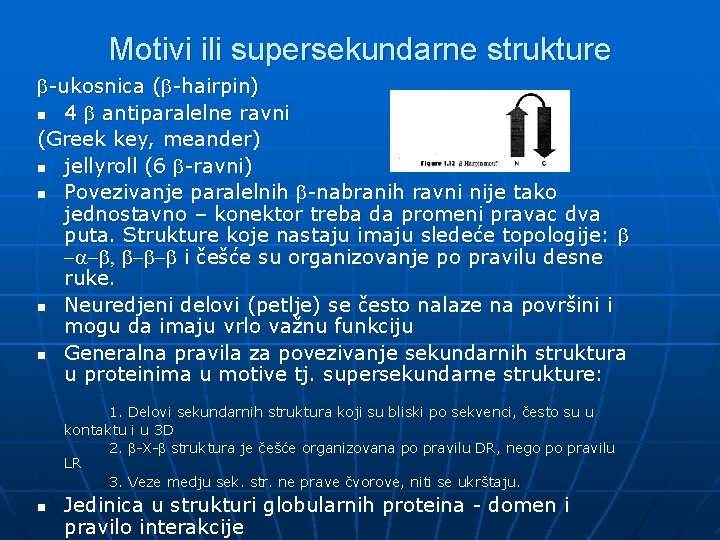 Motivi ili supersekundarne strukture b-ukosnica (b-hairpin) n 4 b antiparalelne ravni (Greek key, meander) Motivi ili supersekundarne strukture b-ukosnica (b-hairpin) n 4 b antiparalelne ravni (Greek key, meander)