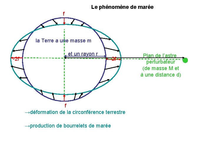 Le phénomène de marée f la Terre a une masse m -2 f et