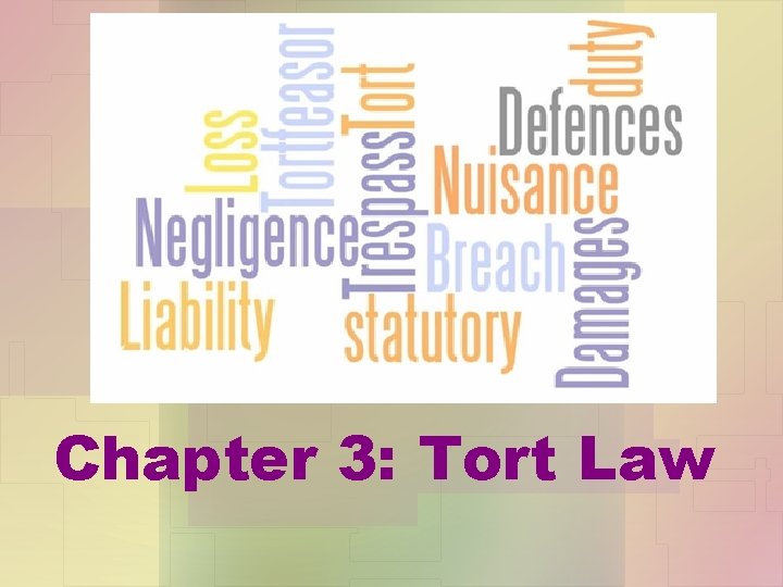 Chapter 3: Tort Law 