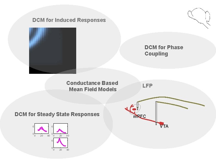DCM for Induced Responses DCM for Phase Coupling Conductance Based Mean Field Models DCM DCM for Induced Responses DCM for Phase Coupling Conductance Based Mean Field Models DCM