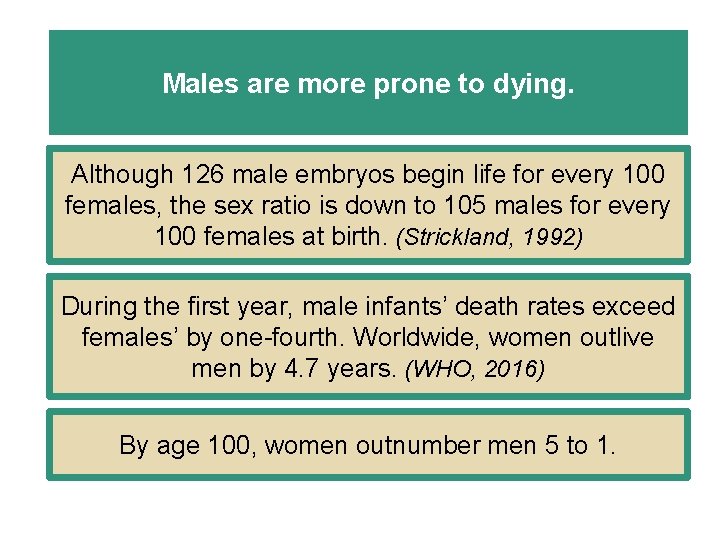 Males are more prone to dying. Although 126 male embryos begin life for every