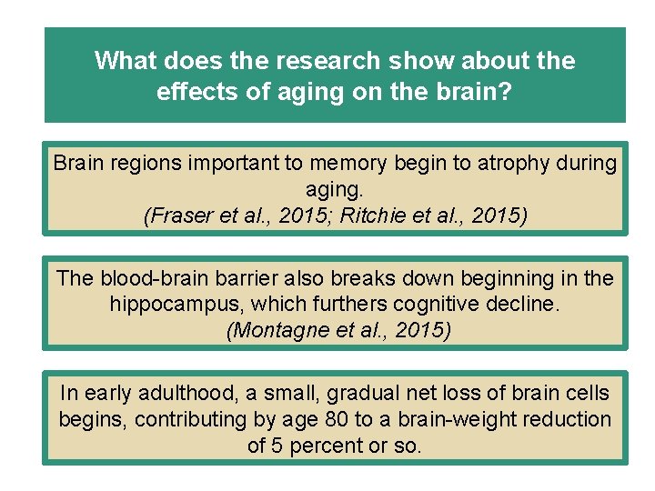 What does the research show about the effects of aging on the brain? Brain