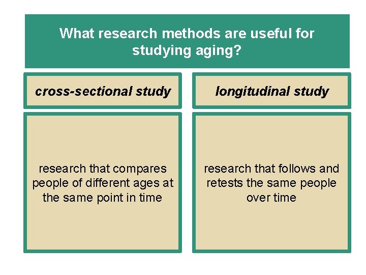 What research methods are useful for studying aging? cross-sectional study longitudinal study research that