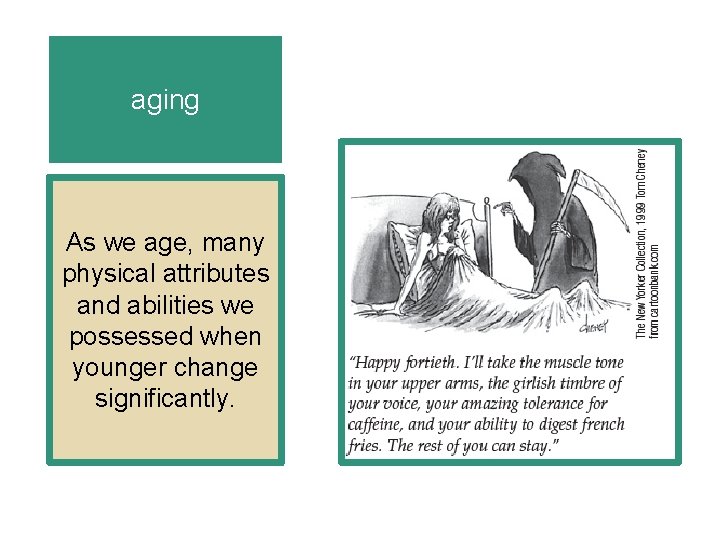 aging As we age, many physical attributes and abilities we possessed when younger change