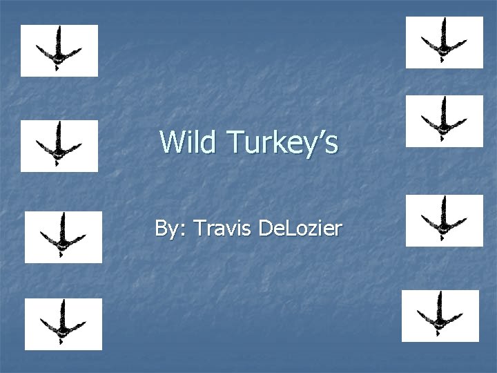 Wild Turkey’s By: Travis De. Lozier 