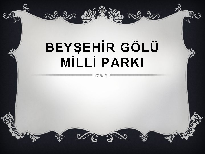 BEYŞEHİR GÖLÜ MİLLİ PARKI 