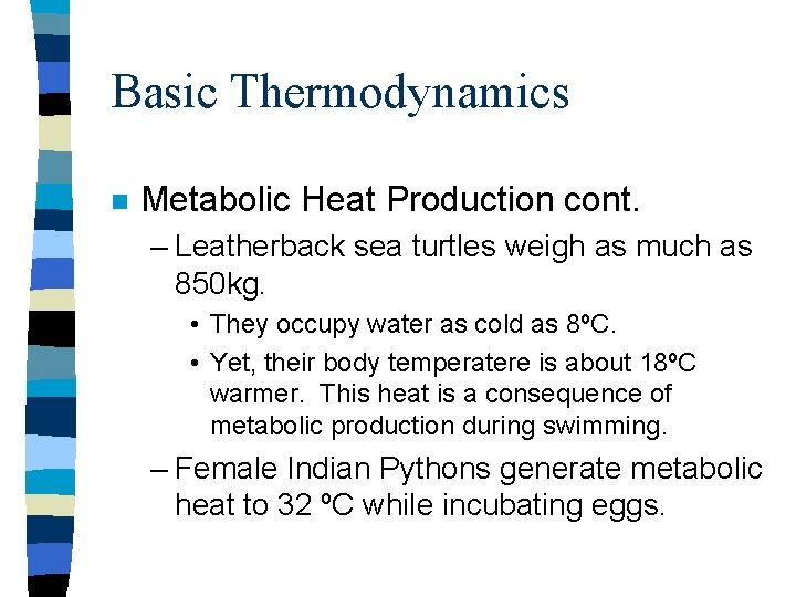 Basic Thermodynamics n Metabolic Heat Production cont. – Leatherback sea turtles weigh as much