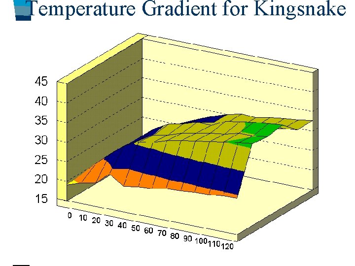 Temperature Gradient for Kingsnake 