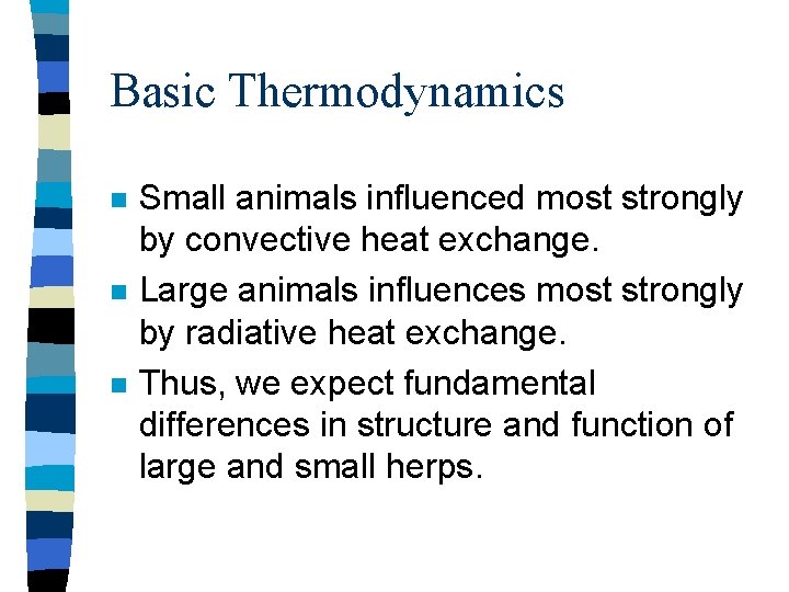 Basic Thermodynamics n n n Small animals influenced most strongly by convective heat exchange.