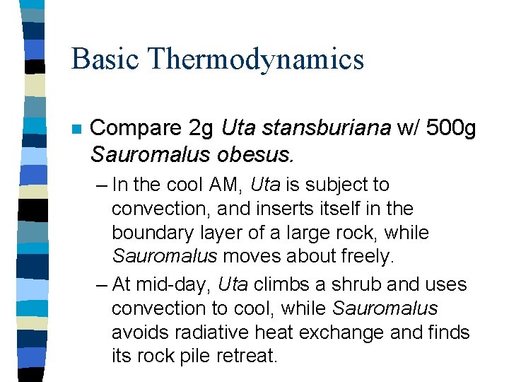 Basic Thermodynamics n Compare 2 g Uta stansburiana w/ 500 g Sauromalus obesus. –