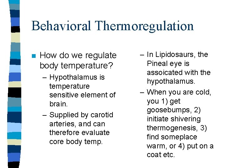 Behavioral Thermoregulation n How do we regulate body temperature? – Hypothalamus is temperature sensitive