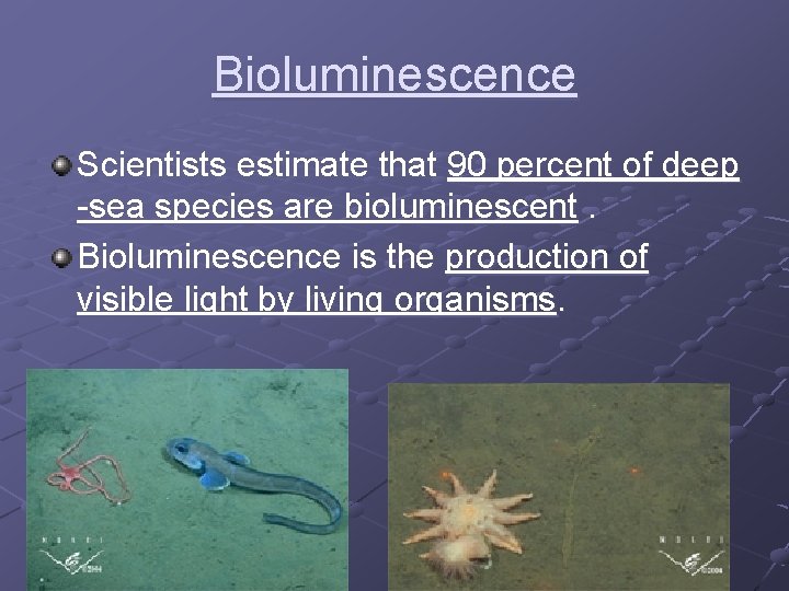 Bioluminescence Scientists estimate that 90 percent of deep -sea species are bioluminescent. Bioluminescence is