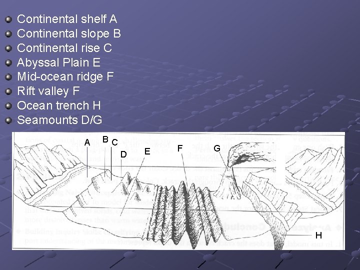 Continental shelf A Continental slope B Continental rise C Abyssal Plain E Mid-ocean ridge