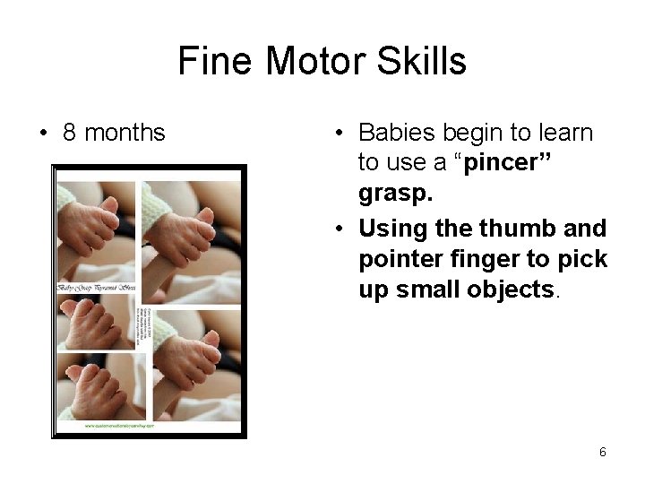 Fine Motor Skills • 8 months • Babies begin to learn to use a Fine Motor Skills • 8 months • Babies begin to learn to use a