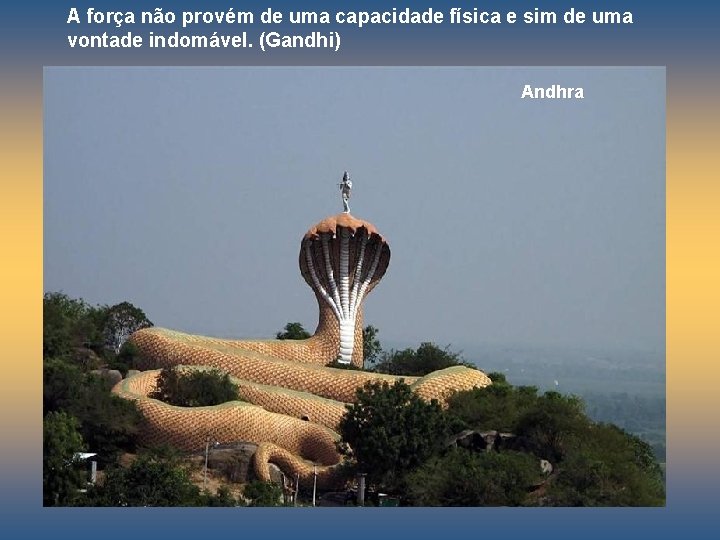 A força não provém de uma capacidade física e sim de uma vontade indomável.
