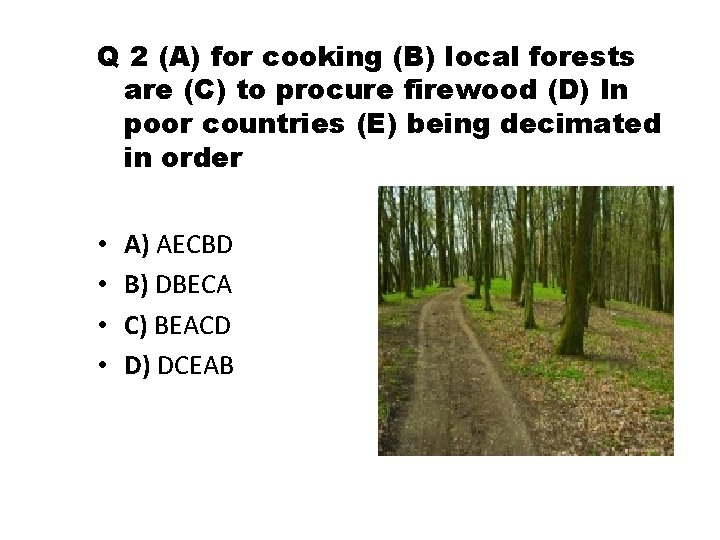 Q 2 (A) for cooking (B) local forests are (C) to procure firewood (D)