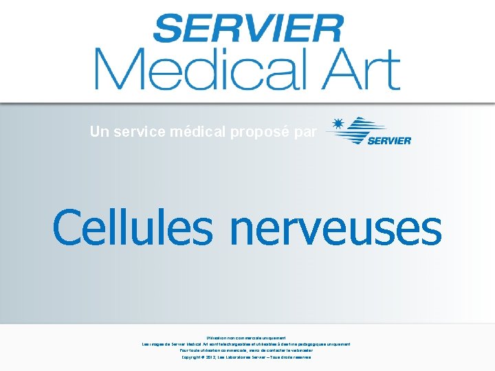 Un service médical proposé par Cellules nerveuses Utilisation non commerciale uniquement. Les images de