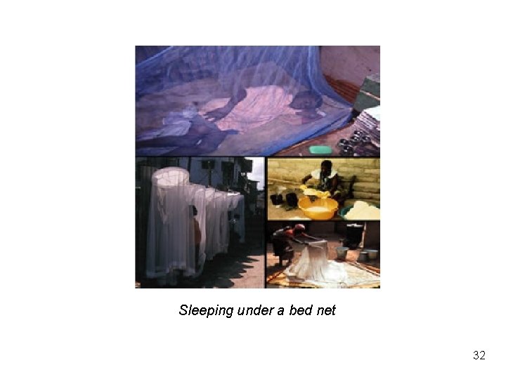 Sleeping under a bed net 32 Sleeping under a bed net 32