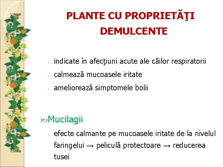 PLANTE CU PROPRIETĂŢI DEMULCENTE ◦ indicate în afecţiuni acute ale căilor respiratorii ◦ calmează