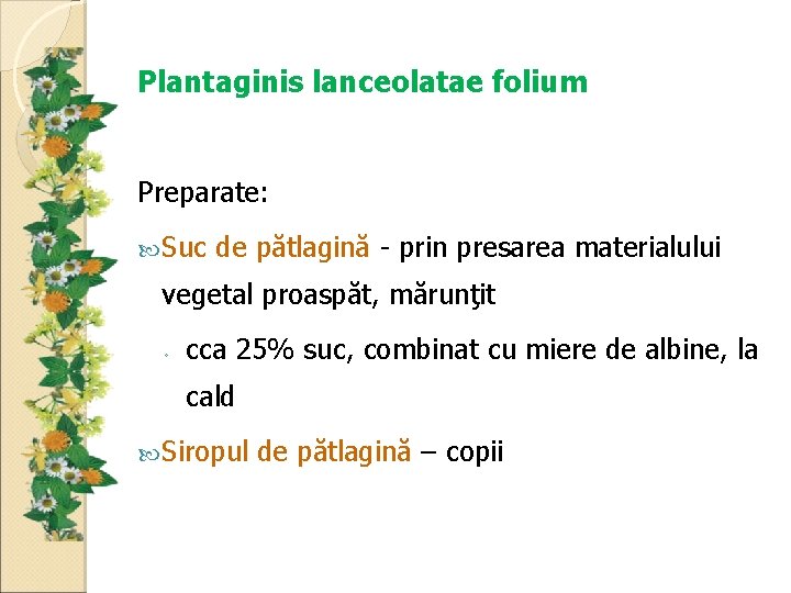 Plantaginis lanceolatae folium Preparate: Suc de pătlagină - prin presarea materialului vegetal proaspăt, mărunţit