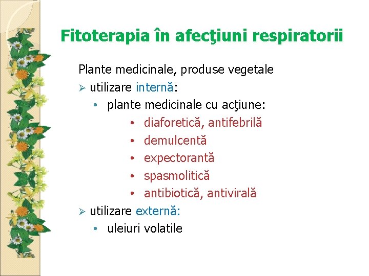 Fitoterapia în afecţiuni respiratorii Plante medicinale, produse vegetale utilizare internă: • plante medicinale cu