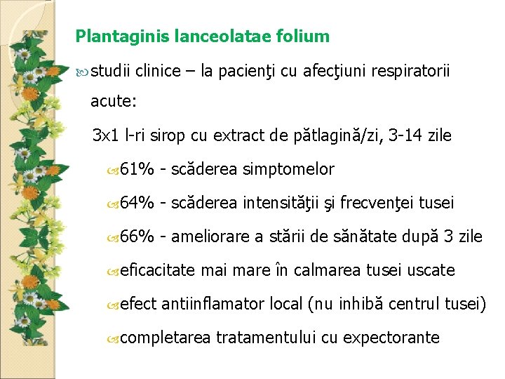 Plantaginis lanceolatae folium studii clinice – la pacienţi cu afecţiuni respiratorii acute: 3 x