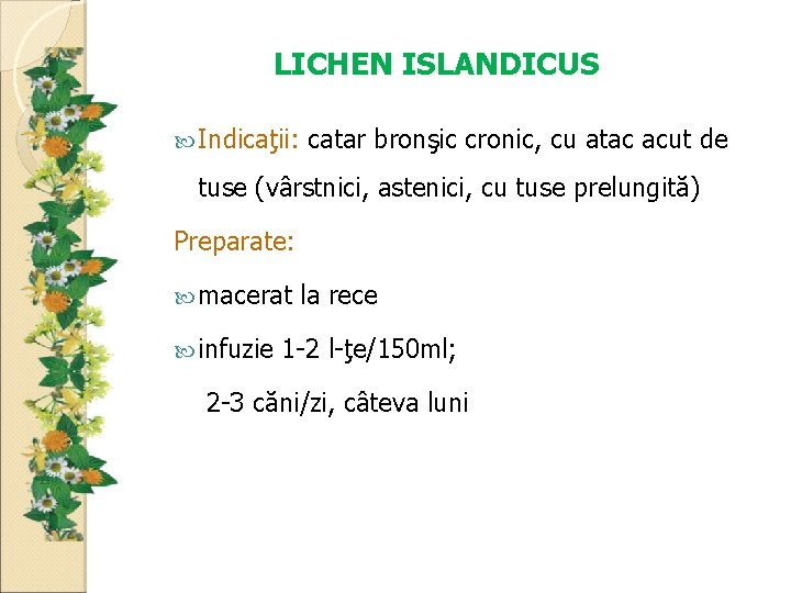 LICHEN ISLANDICUS Indicaţii: catar bronşic cronic, cu atac acut de tuse (vârstnici, astenici, cu