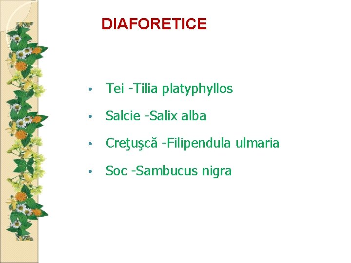 DIAFORETICE • Tei -Tilia platyphyllos • Salcie -Salix alba • Creţuşcă -Filipendula ulmaria •