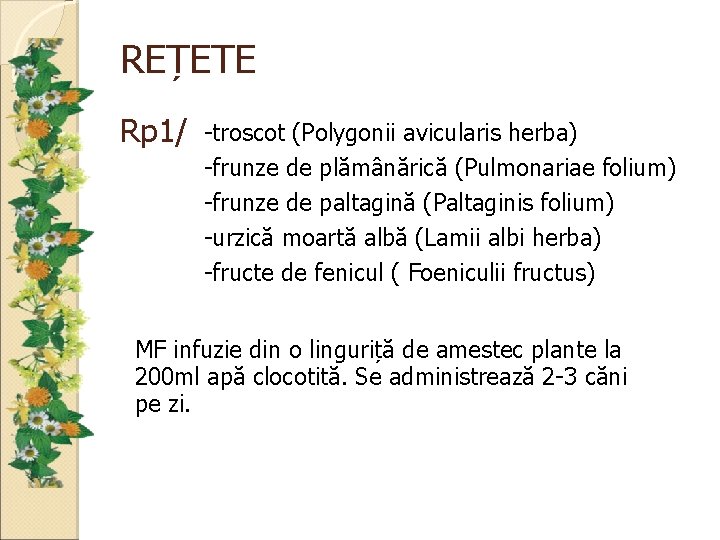 REȚETE Rp 1/ -troscot (Polygonii avicularis herba) -frunze de plămânărică (Pulmonariae folium) -frunze de