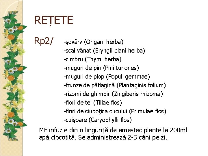 REȚETE Rp 2/ -şovârv (Origani herba) -scai vânat (Eryngii plani herba) -cimbru (Thymi herba)