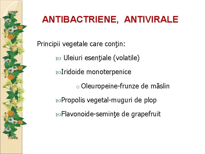 ANTIBACTRIENE, ANTIVIRALE Principii vegetale care conţin: Uleiuri esenţiale (volatile) Iridoide monoterpenice o Oleuropeine-frunze de