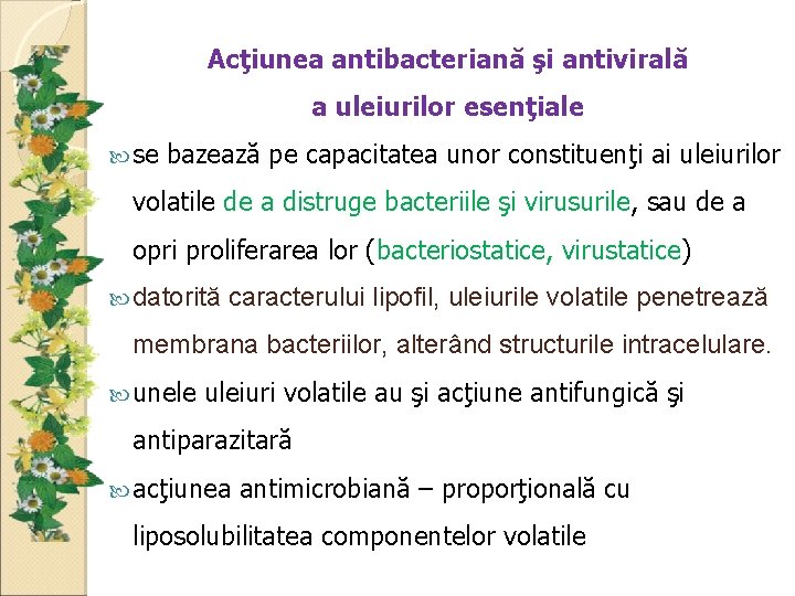 Acţiunea antibacteriană şi antivirală a uleiurilor esenţiale se bazează pe capacitatea unor constituenţi ai