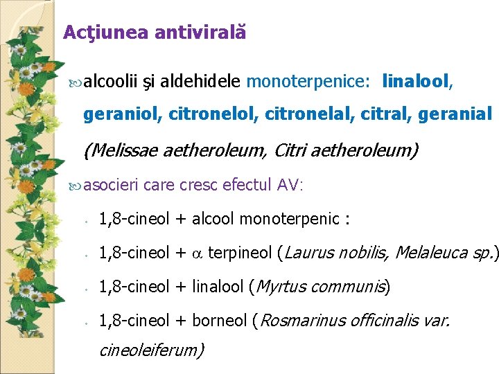 Acţiunea antivirală alcoolii şi aldehidele monoterpenice: linalool, geraniol, citronelal, citral, geranial (Melissae aetheroleum, Citri