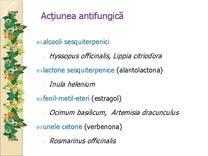 Acţiunea antifungică alcooli sesquiterpenici ◦ Hyssopus officinalis, Lippia citriodora lactone sesquiterpenice (alantolactona) ◦ Inula