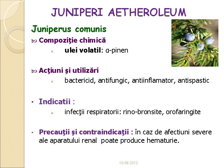 JUNIPERI AETHEROLEUM Juniperus comunis Compoziţie chimică ulei volatil: α-pinen Acţiuni şi utilizări bactericid, antifungic,