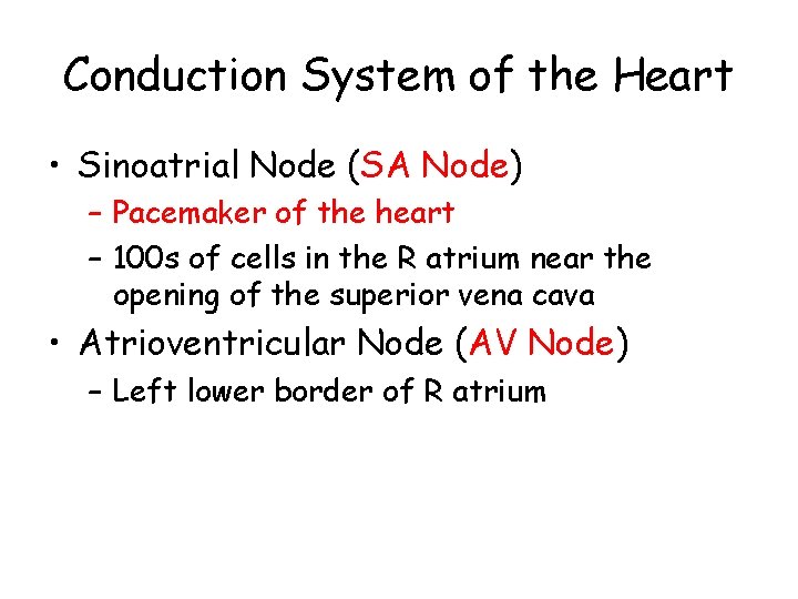 Conduction System of the Heart • Sinoatrial Node (SA Node) – Pacemaker of the
