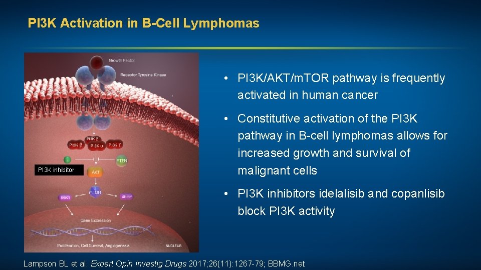 PI 3 K Activation in B-Cell Lymphomas • PI 3 K/AKT/m. TOR pathway is