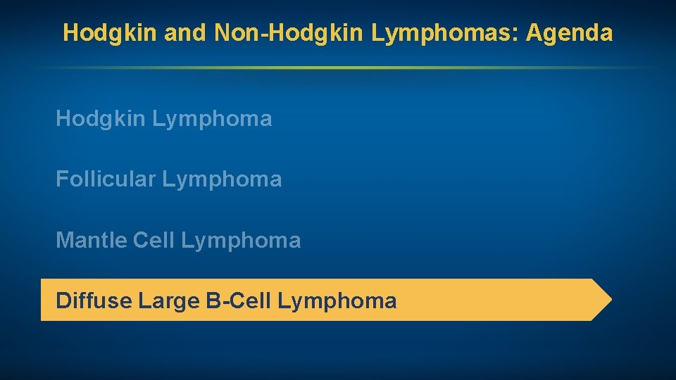 Hodgkin and Non-Hodgkin Lymphomas: Agenda Hodgkin Lymphoma Follicular Lymphoma Mantle Cell Lymphoma Diffuse Large