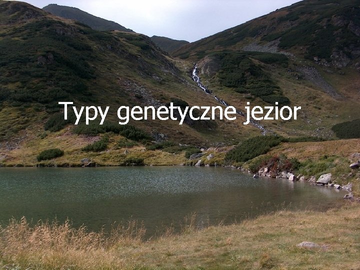 Typy genetyczne jezior 