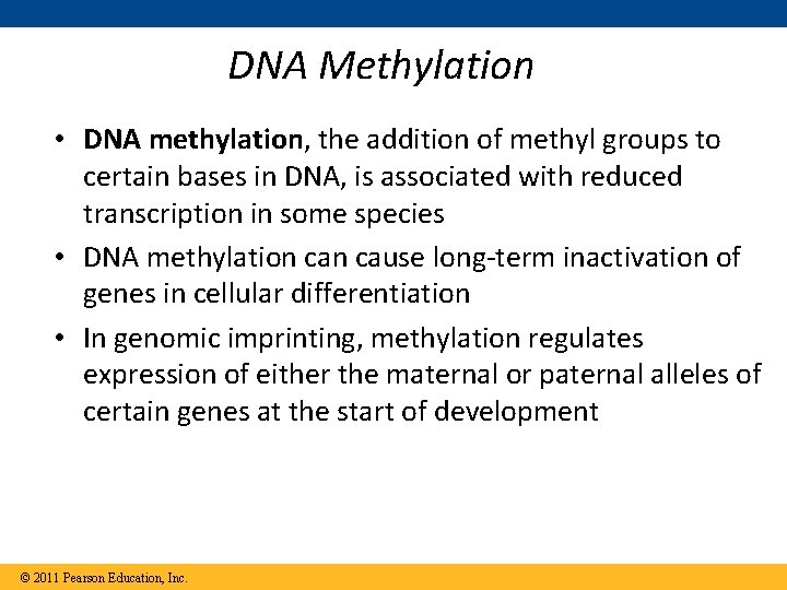 DNA Methylation • DNA methylation, the addition of methyl groups to certain bases in