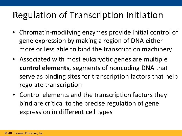 Regulation of Transcription Initiation • Chromatin-modifying enzymes provide initial control of gene expression by