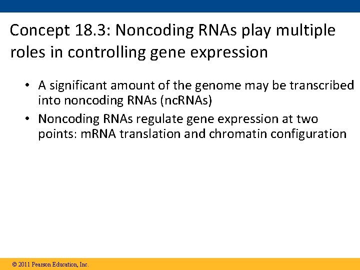 Concept 18. 3: Noncoding RNAs play multiple roles in controlling gene expression • A