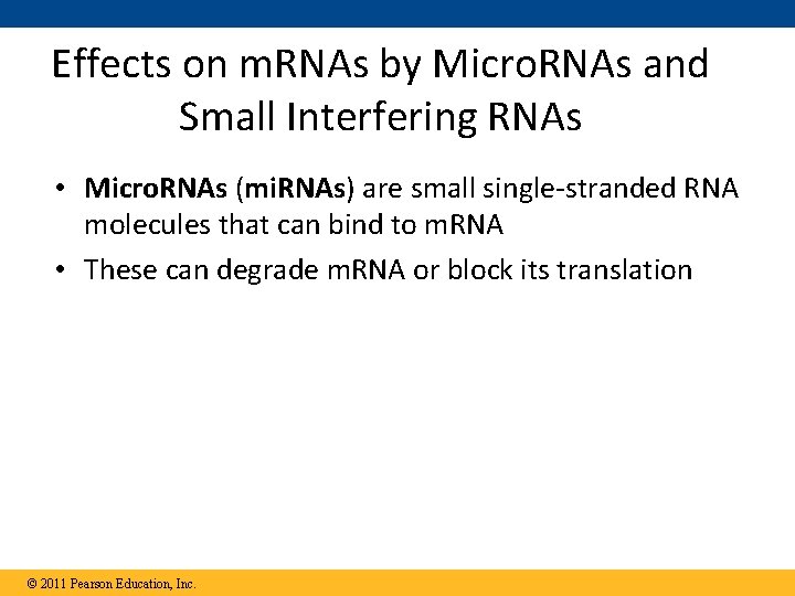 Effects on m. RNAs by Micro. RNAs and Small Interfering RNAs • Micro. RNAs