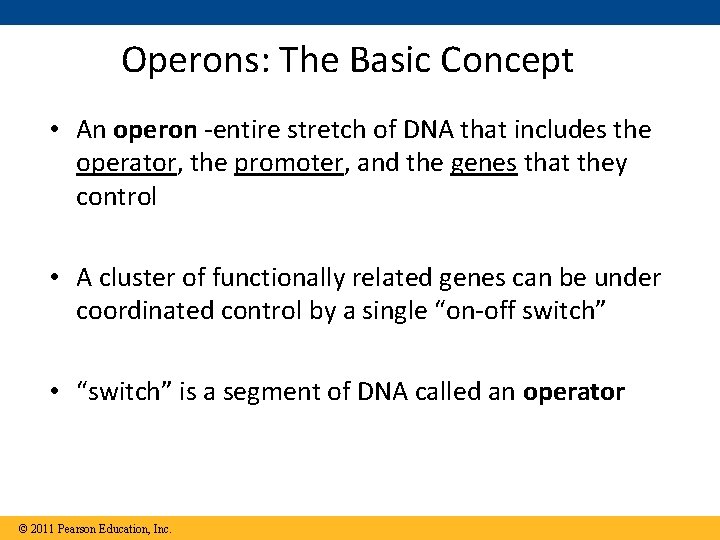 Operons: The Basic Concept • An operon -entire stretch of DNA that includes the