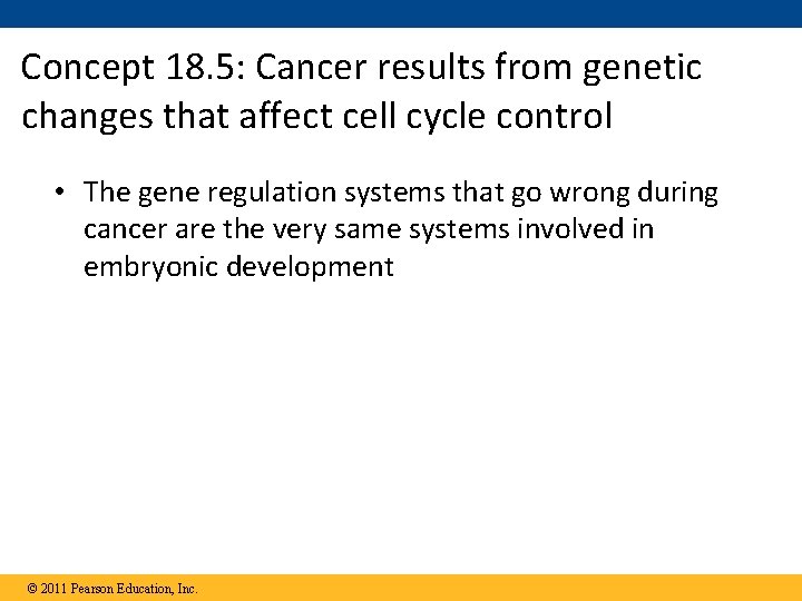 Concept 18. 5: Cancer results from genetic changes that affect cell cycle control •