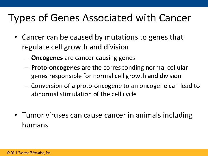 Types of Genes Associated with Cancer • Cancer can be caused by mutations to