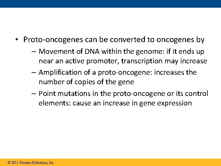  • Proto-oncogenes can be converted to oncogenes by – Movement of DNA within