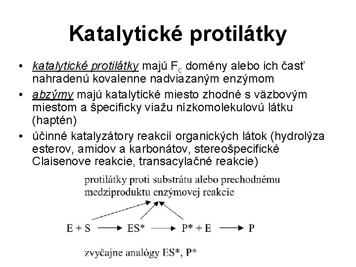 Katalytické protilátky • katalytické protilátky majú Fc domény alebo ich časť nahradenú kovalenne nadviazaným Katalytické protilátky • katalytické protilátky majú Fc domény alebo ich časť nahradenú kovalenne nadviazaným
