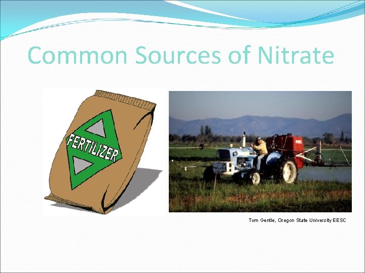 Common Sources of Nitrate Tom Gentle, Oregon State University EESC 